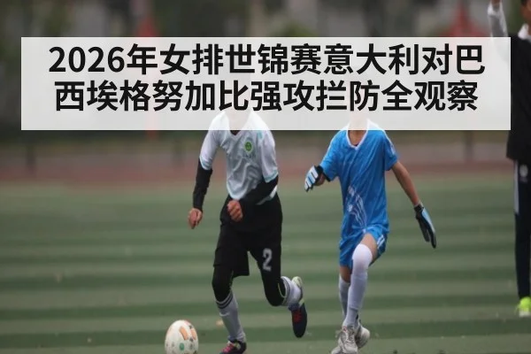 2026年女排世锦赛意大利对巴西埃格努加比强攻拦防全观察